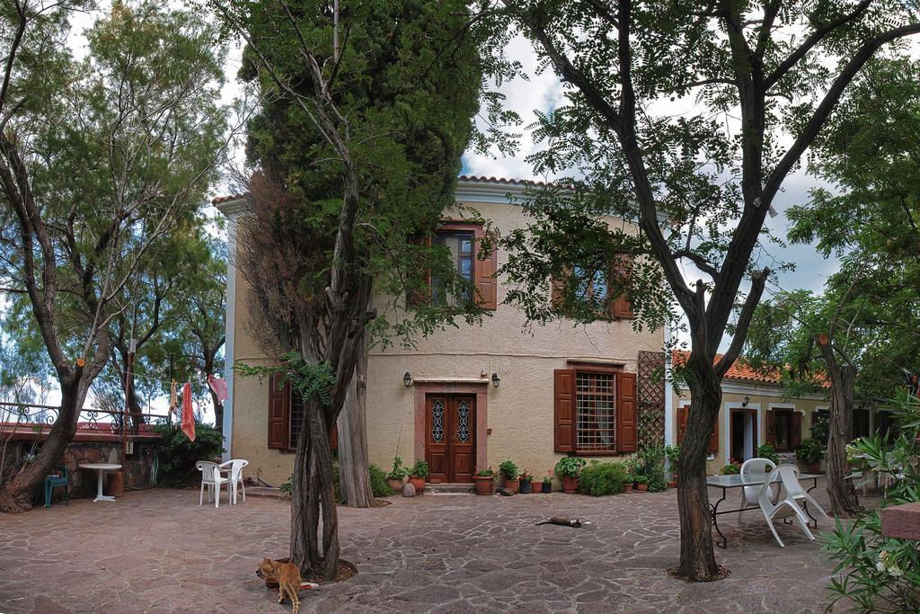 Lela Kaptani Eftalou Olive Grove Mithymna Exteriör bild